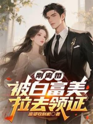 Vừa Mới Ly Hôn, Bị Bạch Phú Mỹ Kéo Đi Lãnh Chứng